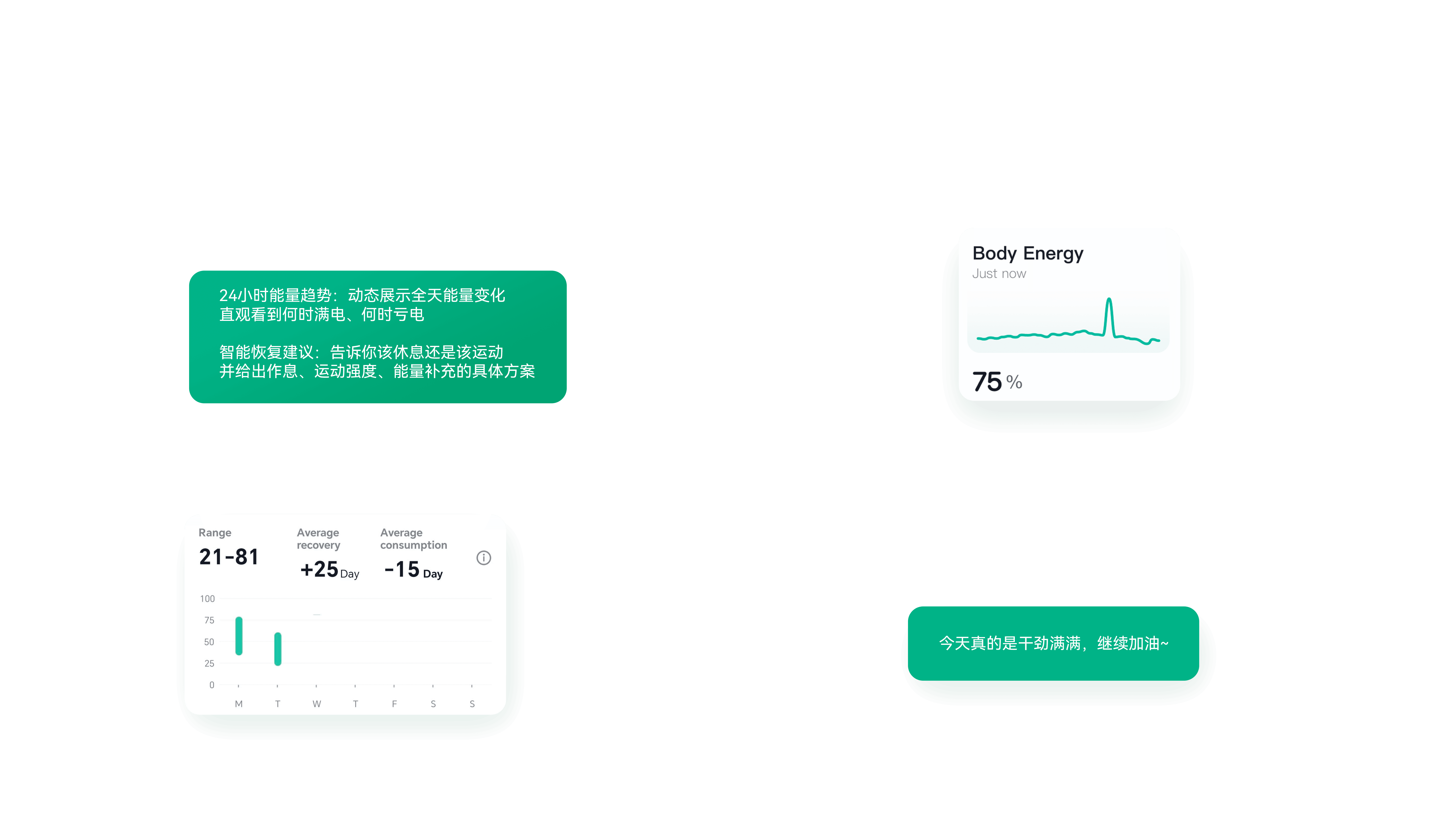 身体能量评估